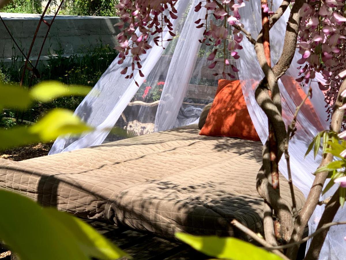 Casa Botanica Villa Blagaj Dış mekan fotoğraf