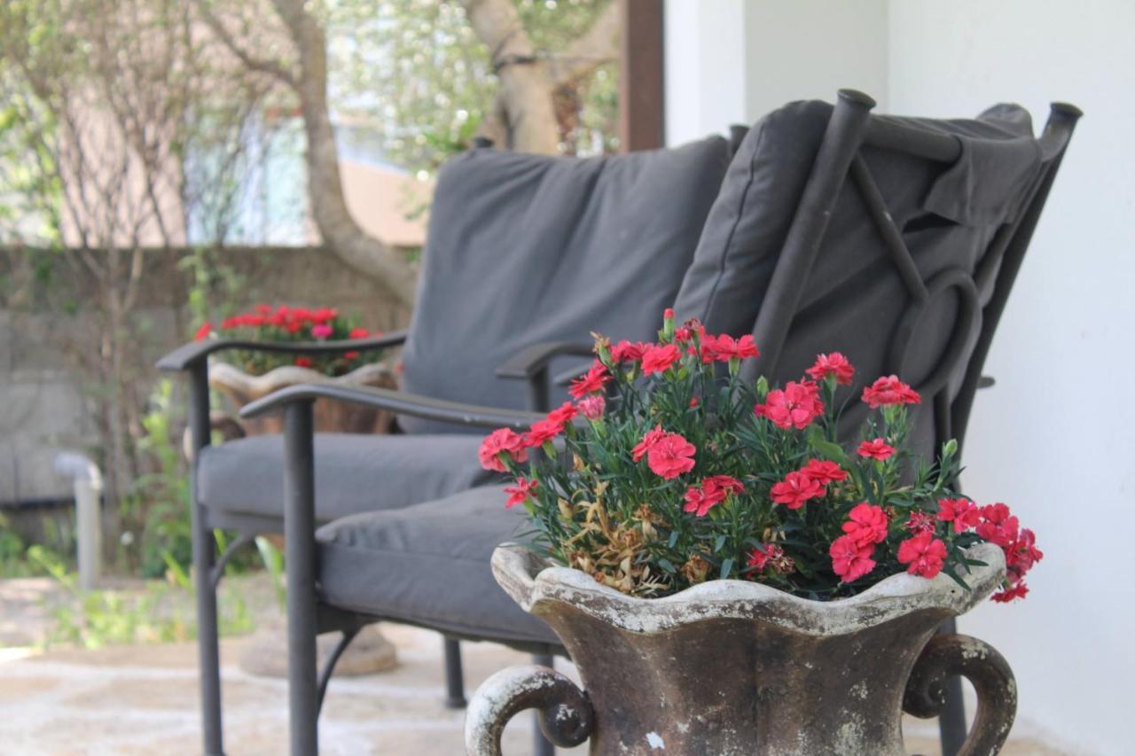 Casa Botanica Villa Blagaj Dış mekan fotoğraf