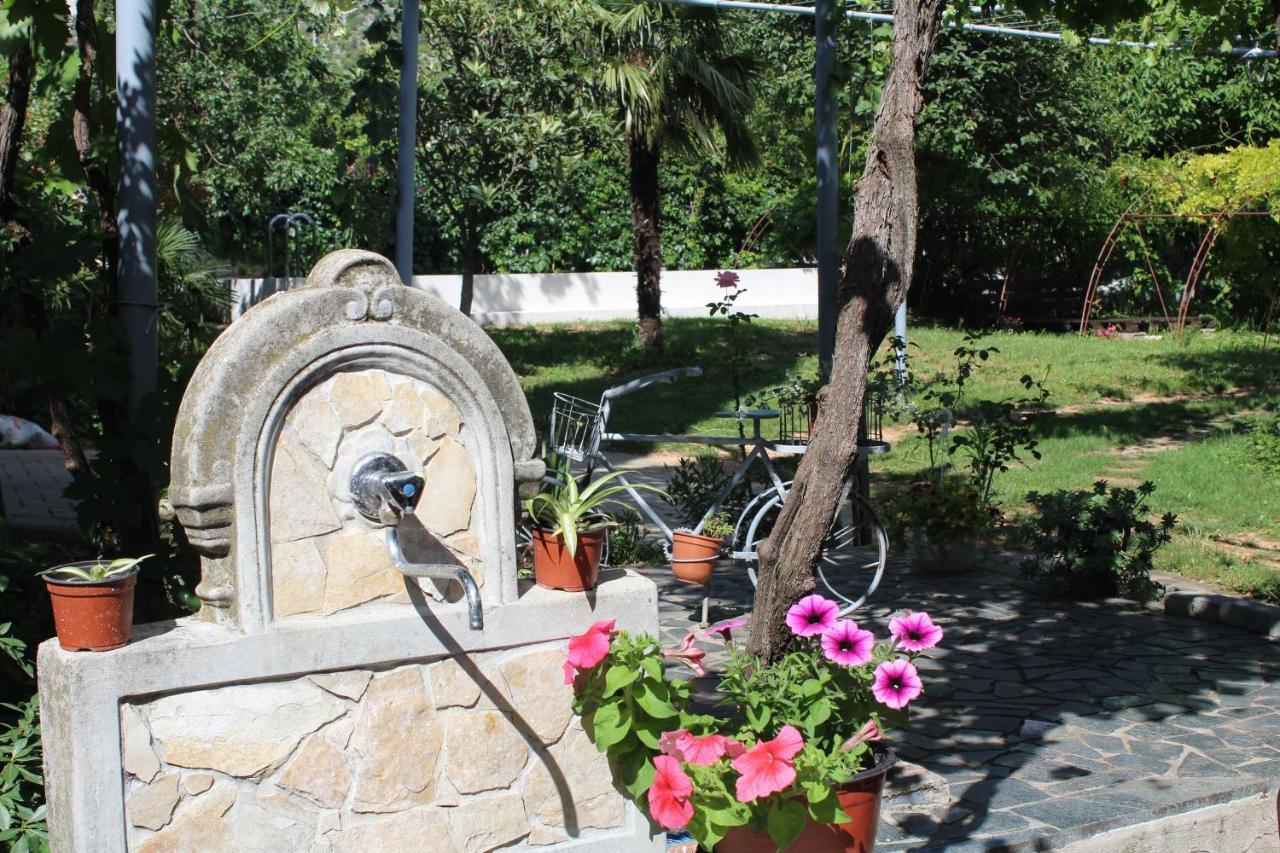 Casa Botanica Villa Blagaj Dış mekan fotoğraf
